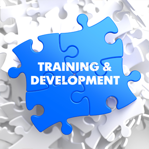 training7